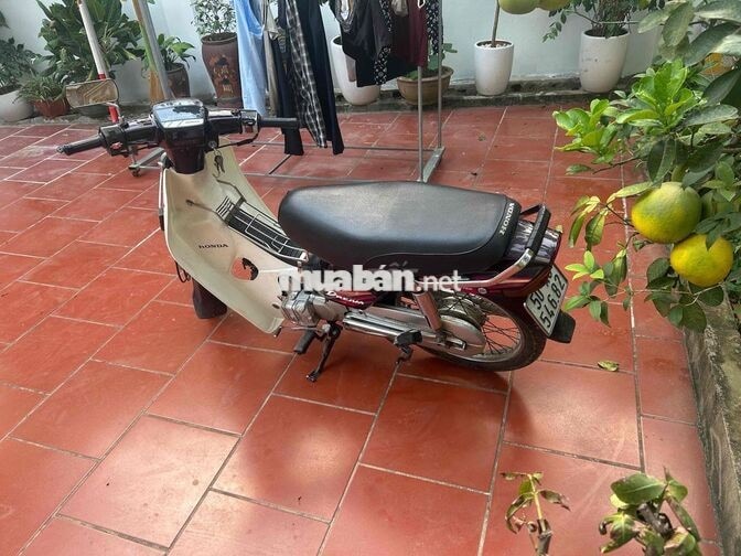 Honda Dream màu Đen trắng