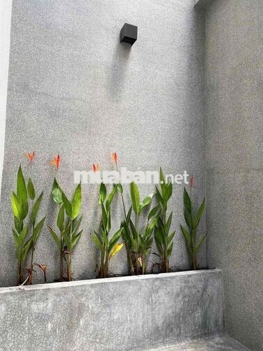 197 ✨ 🏡 CHO THUÊ NHÀ KIỆT ÔNG ÍCH KHIÊM