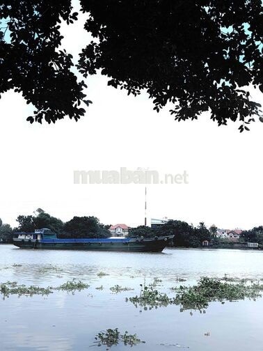 cho thuê gấp phòng 3.8 triệu, Phường 21, Bình Thạnh
