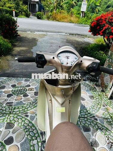 xe sym 50cc phù hợp cho học sinh đi học