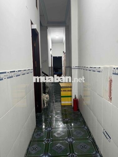 sang nhà nghỉ bình dương giá rẻ