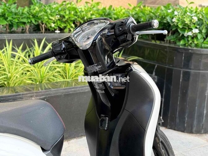 Honda SH Mode 2019 Sport Trắng đen 29M1