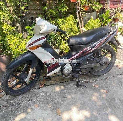 yamaha taurus biển đẹp