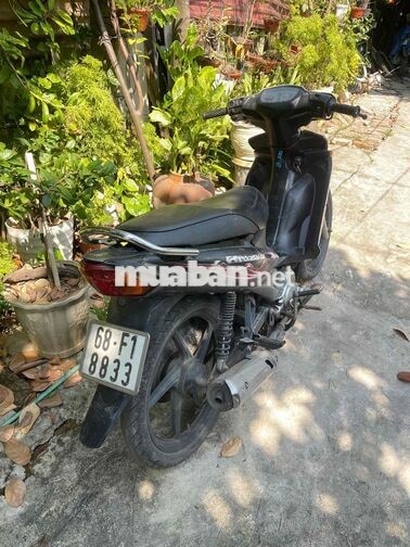 yamaha taurus biển đẹp