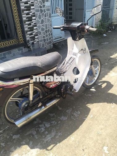 Honda Dream Nâu trắng