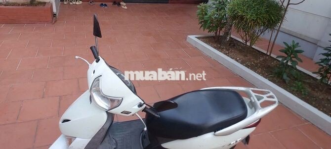 Honda Lead 2010 Trắng