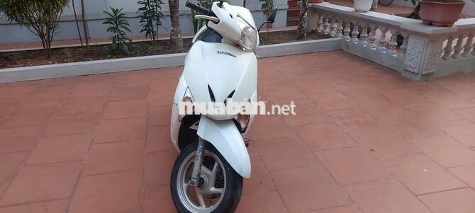 Honda Lead 2010 Trắng