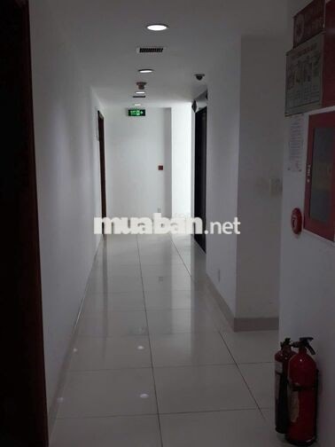 Văn phòng 50m2 Phổ Quang, TB - Full nội thất, Giá 11tr/tháng