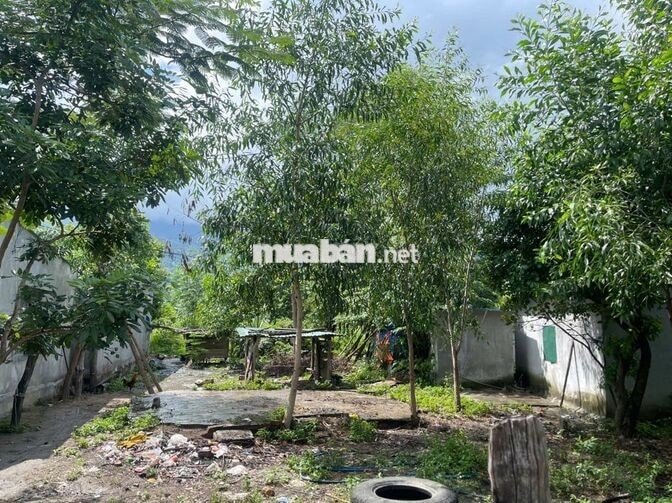 CHỦ NGỘP CẦN TIỀN  CẮT LỖ LÔ ĐẤT VÙNG LÕI CÔNG NGHIỆP NINH TÂN
