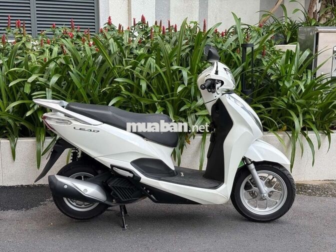 Honda Lead 2025 Trắng