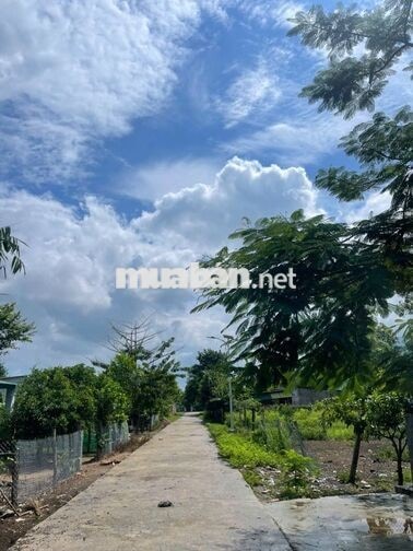 CHỦ NGỘP CẦN TIỀN  CẮT LỖ LÔ ĐẤT VÙNG LÕI CÔNG NGHIỆP NINH TÂN