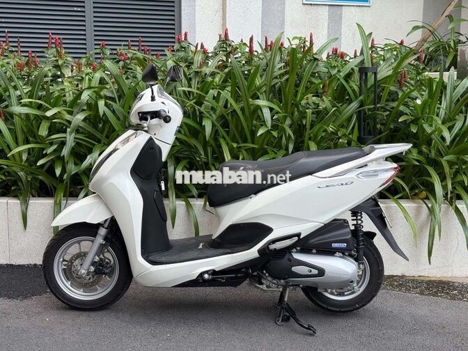 Honda Lead 2025 Trắng