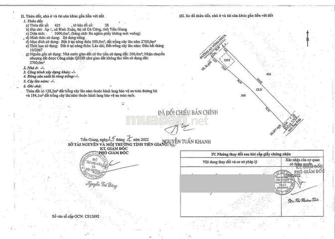 Ngân hàng thanh lý 3 công đất tại Bình Xuân, Gò Công, Tiền Giang