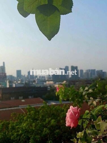 Share phòng chung cư riva park