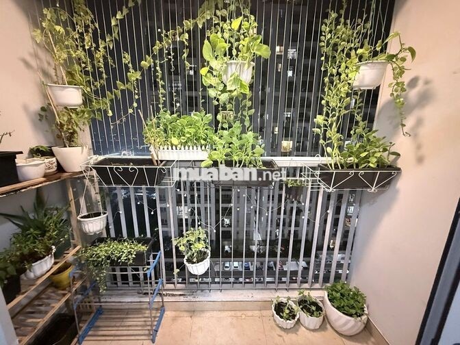 Cho thuê 1 pn trong căn hộ 2pn/2wc