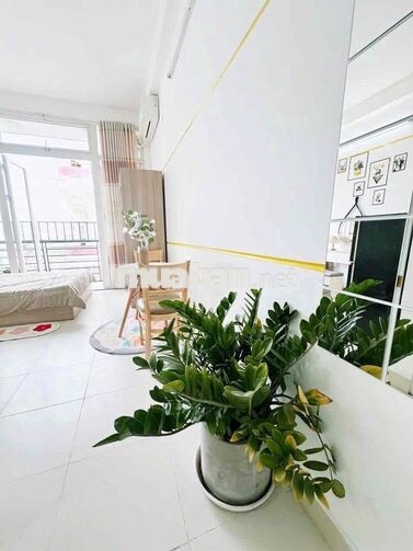 KHAI TRƯƠNG CĂN HỘ STUDIO BANCOL ĐÓN GIÓ_ GẦN CHỢ PHẠM VĂN BẠCH.🏡