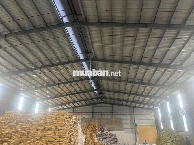 CHO THUÊ NHÀ MÁY 7000m2 KCN HẢI SƠN – ĐỨC HÒA, LONG AN
