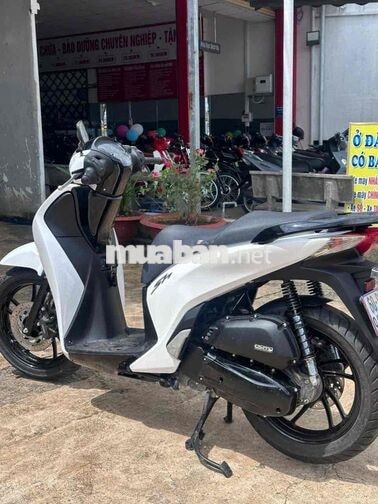 Honda SH 150cc 2014 Trắng