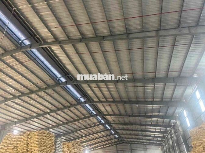 CHO THUÊ NHÀ MÁY 7000m2 KCN HẢI SƠN – ĐỨC HÒA, LONG AN