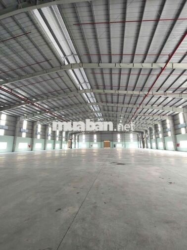 xưởng 6700m trong KCN ĐỨC HÒA LONG An