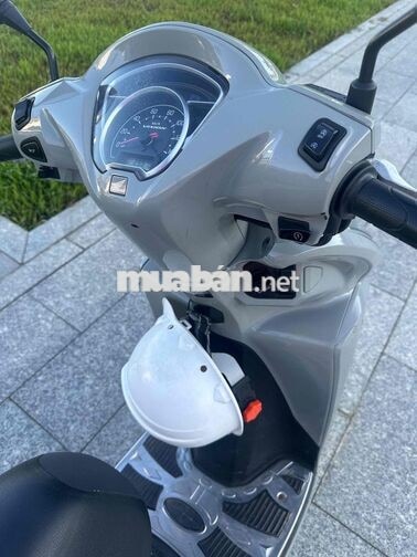 vision2024 rẻ chất