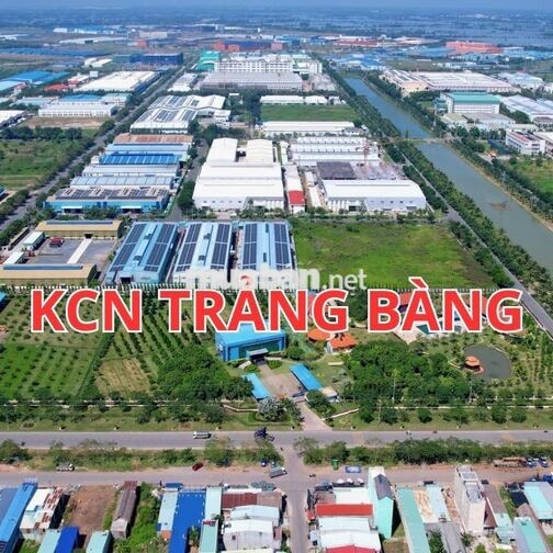 ĐẤT NGỘP TT. TRẢNG BÀNG, 10M X 31M, SỔ RIÊNG, GIÁ 450 TRIỆU,BỚT LỘC