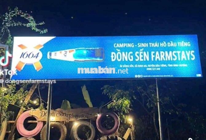 Bán đất mẫu view hồ Dầu Tiếng đẹp rẻ tại xã Định An