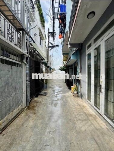 cho thuê nhà nguyên căn 55m2 đường quang trung gò vấp