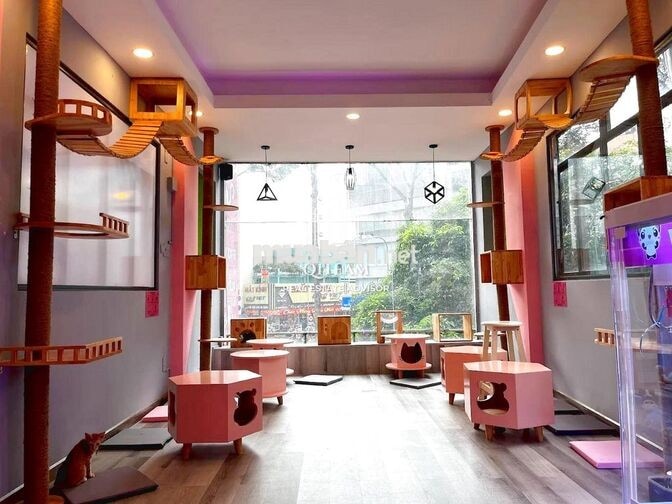 🔥 Nhà 6 Tầng Có Hầm, Thang Máy – Sư Vạn Hạnh, Quận 10