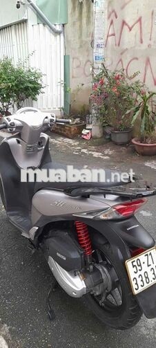 cần bán sh model 