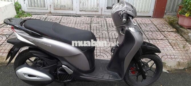 cần bán sh model 