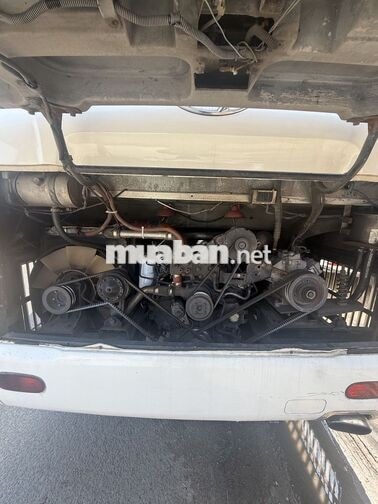 Hyundai Universe Euro X Mini 2015 Trắng