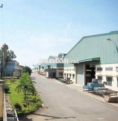 Cho thuê kho xưởng khu công nghiệp nhơn trạch ,Tỉnh Đồng Nai