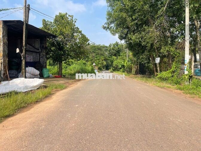 Bán lô đất 80m2 trường tiểu học Thới Hòa, thông QL13 và MP Tân Vạn