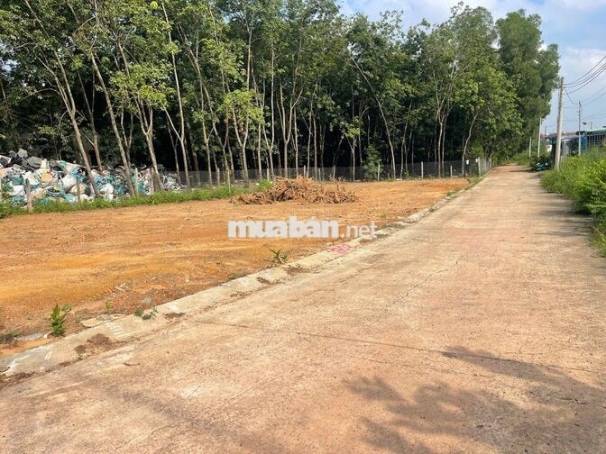 Bán lô đất 80m2 trường tiểu học Thới Hòa, thông QL13 và MP Tân Vạn