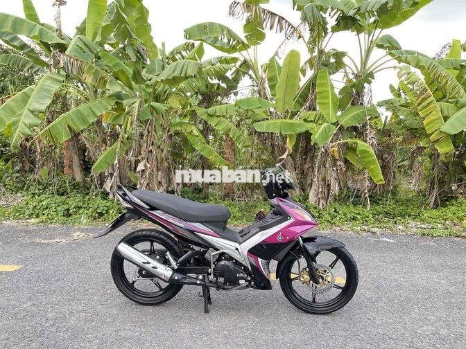 Yamaha Exciter 1S94 2010 Tím đen