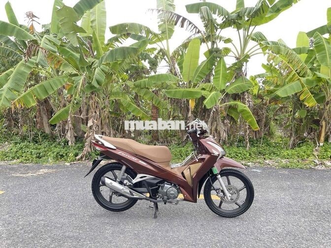 Honda Future 2020 Nâu