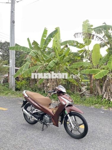 Honda Future 2020 Nâu