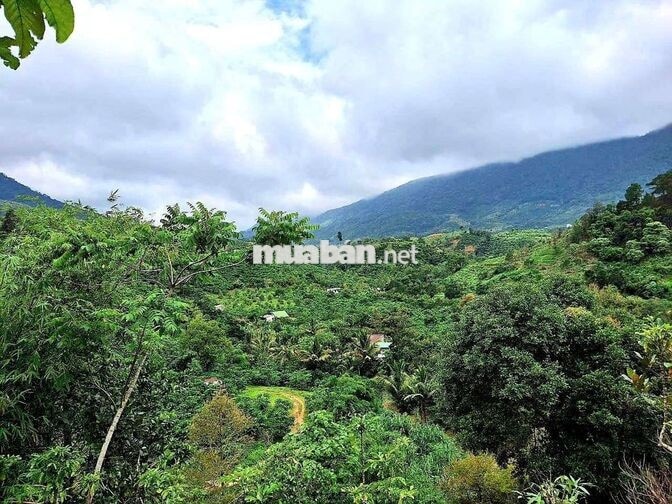 Đất mặt tiền đường ô tô, sổ hồng riêng, view đẹp