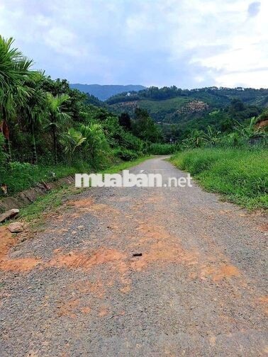Đất mặt tiền đường ô tô, sổ hồng riêng, view đẹp