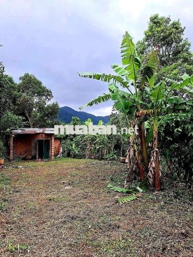 Đất mặt tiền đường ô tô, sổ hồng riêng, view đẹp