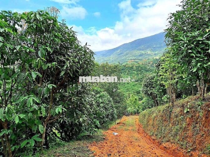 Đất mặt tiền đường ô tô, sổ hồng riêng, view đẹp