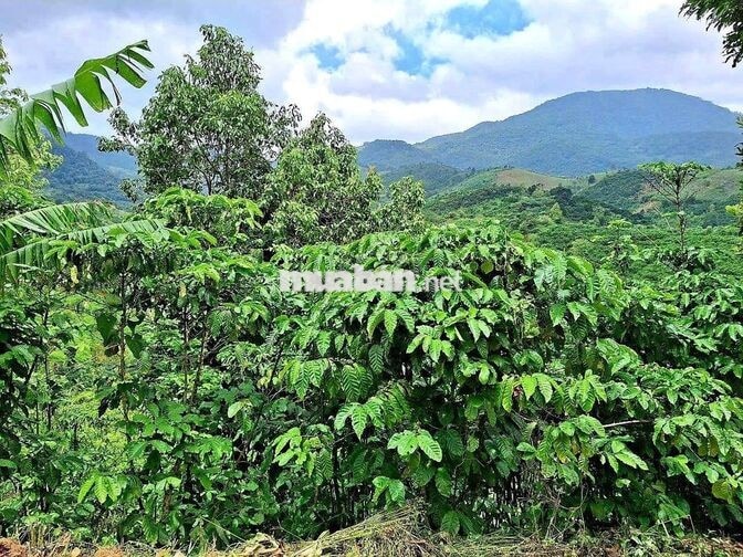 Đất mặt tiền đường ô tô, sổ hồng riêng, view đẹp