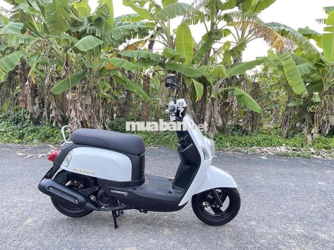 YAMAHA CUXI MÀU TRẮNG