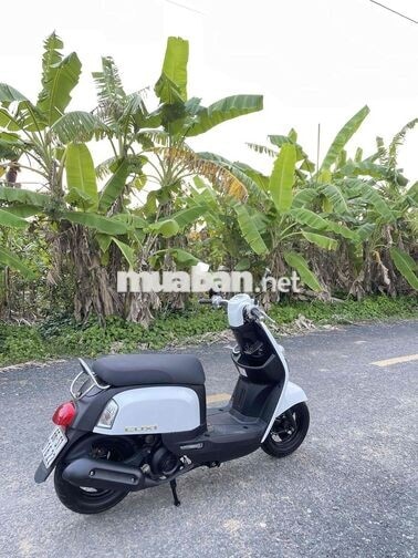 YAMAHA CUXI MÀU TRẮNG
