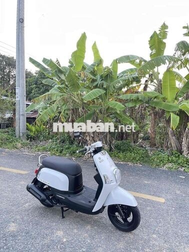 YAMAHA CUXI MÀU TRẮNG
