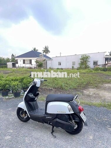 YAMAHA CUXI MÀU TRẮNG