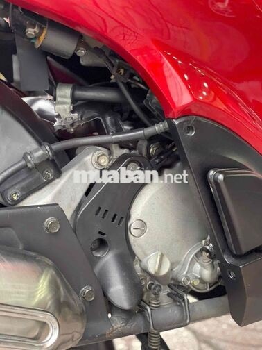 SHVN150 MẪU Ý 2010 đk 2011 BAO TÊN - BAO GÓP NX