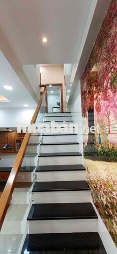 Cho Thuê Nhà Nguyên Căn Gò Vấp