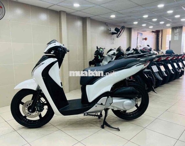 SHVN125 MẪU Ý 2011 BSTP - BAO GÓP NỢ XẤU